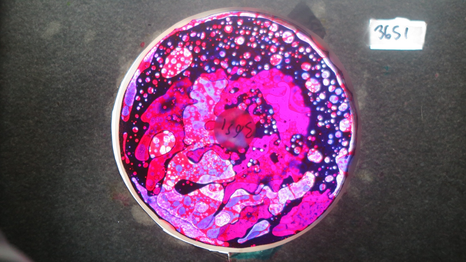 Bv3651 bubble vision oil wheel